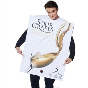 Halloween Costume - Box of Wine